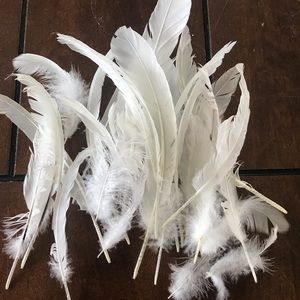 20+ Craft Feathers all shapes and sizes